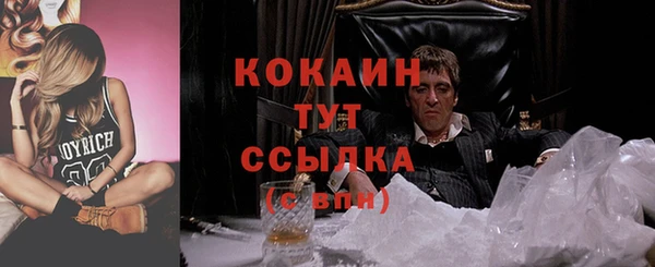 гидропоника Алзамай