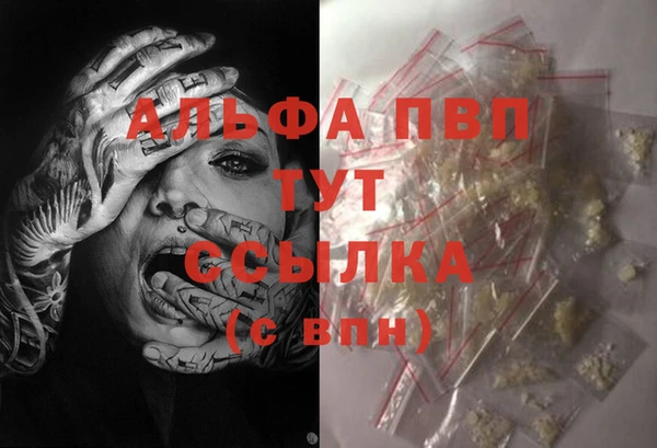 гидропоника Алзамай