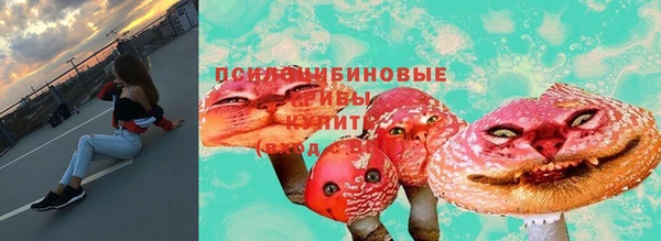гидропоника Алзамай