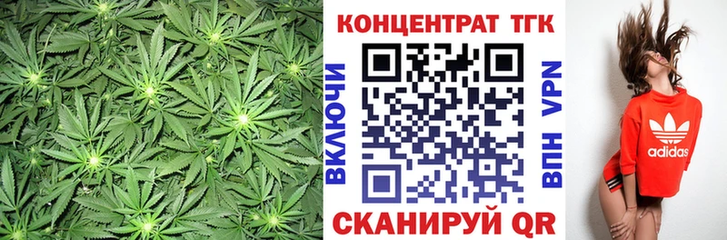 ТГК Wax  Чёрмоз 